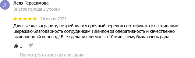 синхронный переводчик