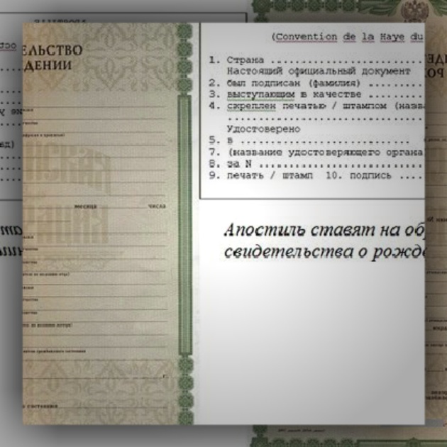 паспорт перевод узбекистанского паспорта
